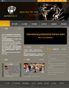 从概念到上线 现代网页设计与网站构建的完整指南