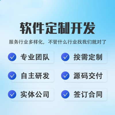 软件开发与网站设计 数字时代的双生花